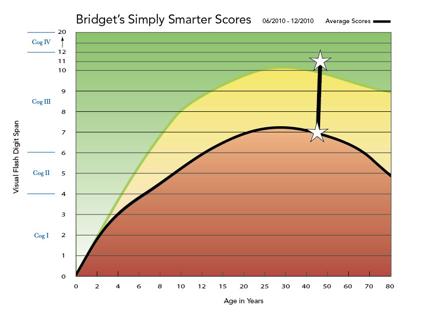 Bridgets-Simply-Smarter-Vis-Flash-12-2010-3
