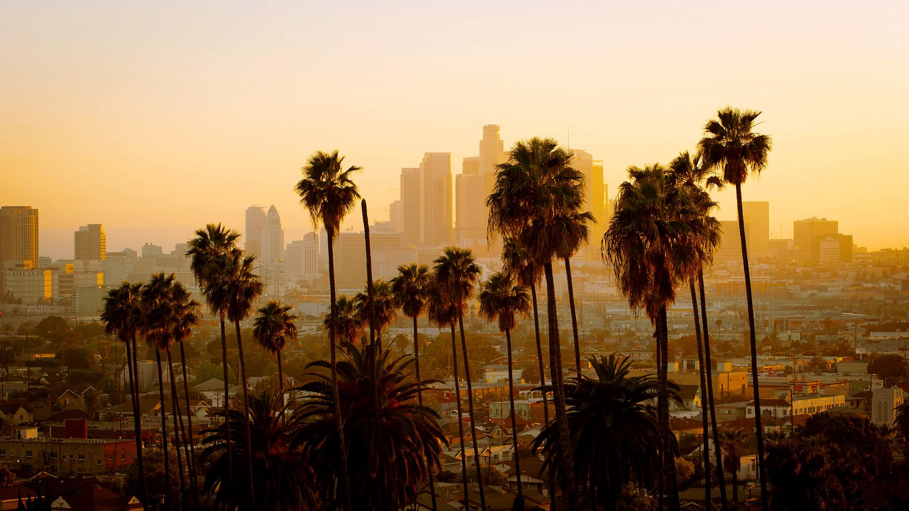 Skyline of Los Angeles, California, the metro area served by NACD's Greater LA evaluation site